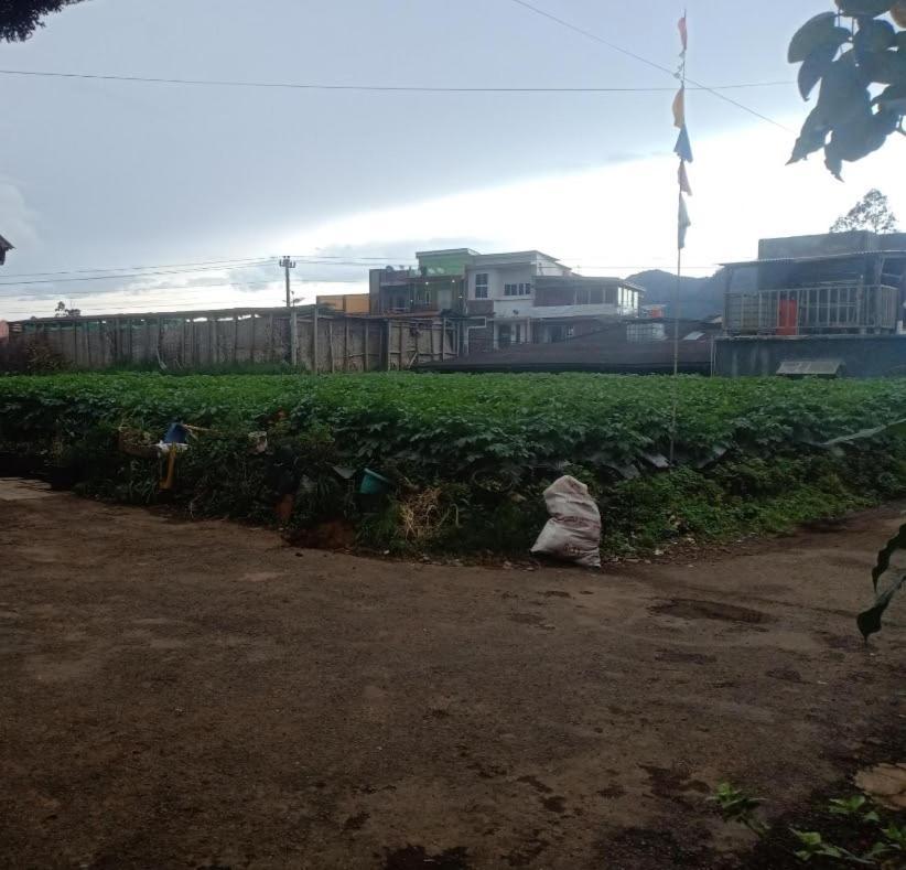 Anemon Dieng Extérieur photo